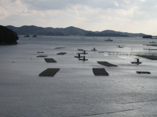 迫子の展望台より