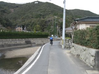 迫子