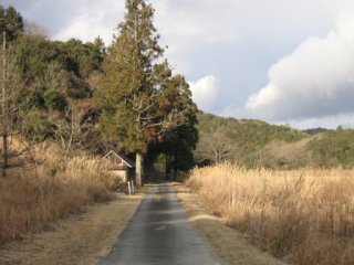 見逃した分岐