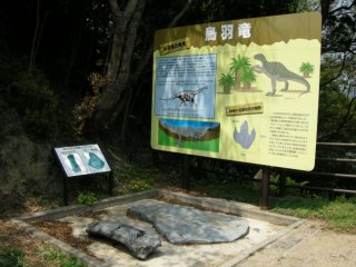 化石発見地