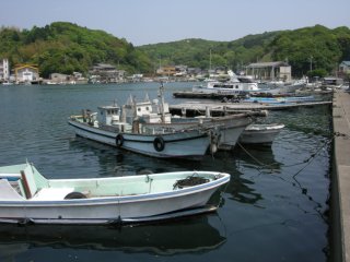 本浦