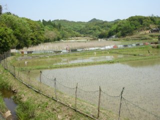 本浦～石鏡