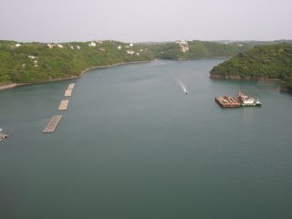 的矢湾大橋