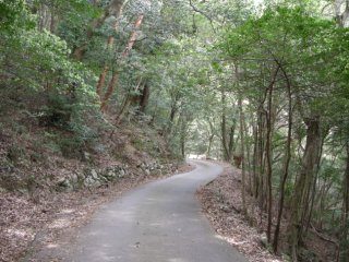 剣峠下り