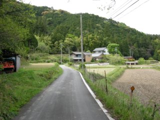 高麗広