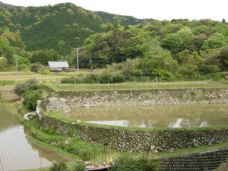 高麗広
