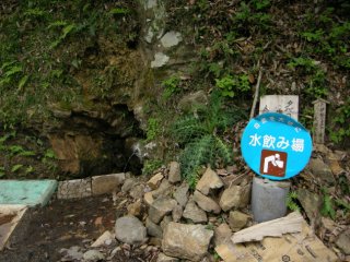 湧き水