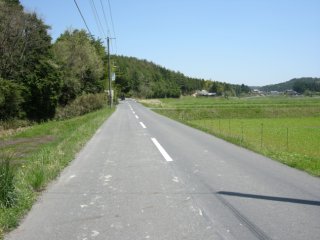 櫟野