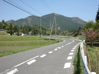 平子