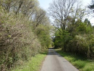 県道41号