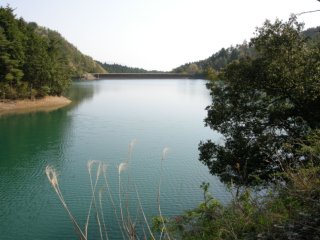 頓宮新池