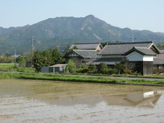 神付近