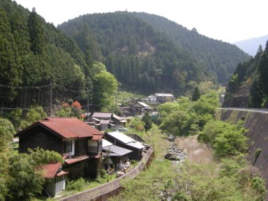 杉谷