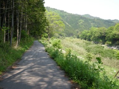 珍布峠への道