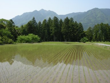 有間野