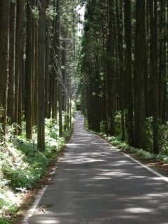 県道40号