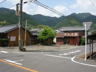 新鹿