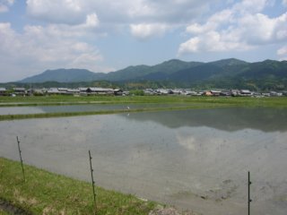 喰代付近