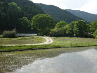 中馬野