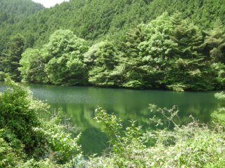 池