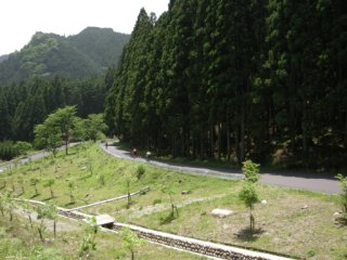 椿井峠下り
