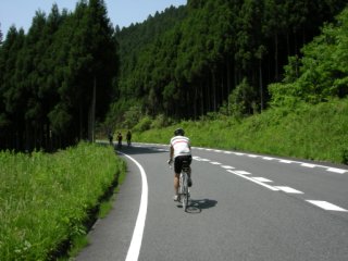 広域農道