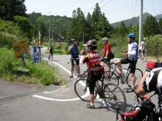長尾分岐