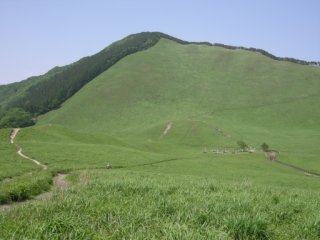 曽爾高原