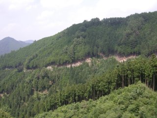 展望