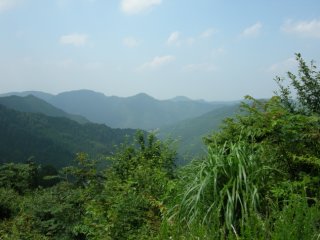 展望
