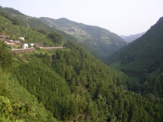 田殿付近