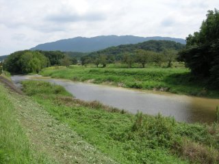 柘植川