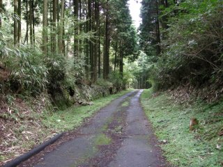 無名の峠