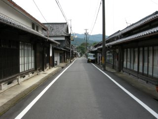 猿野