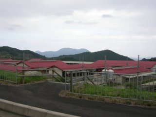 みつえ高原牧場