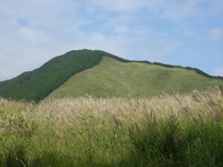 曽爾高原