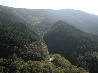 旧道からの展望