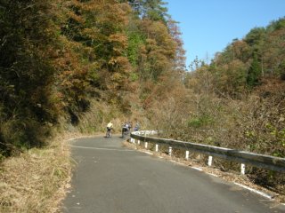 牧杉谷林道２