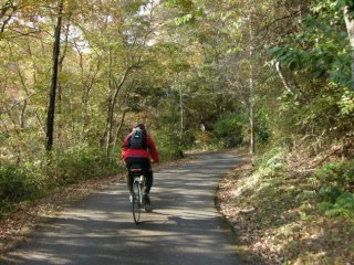 県道132号